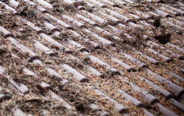 Roestock roof cleaning companies