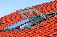 Roestock roof window